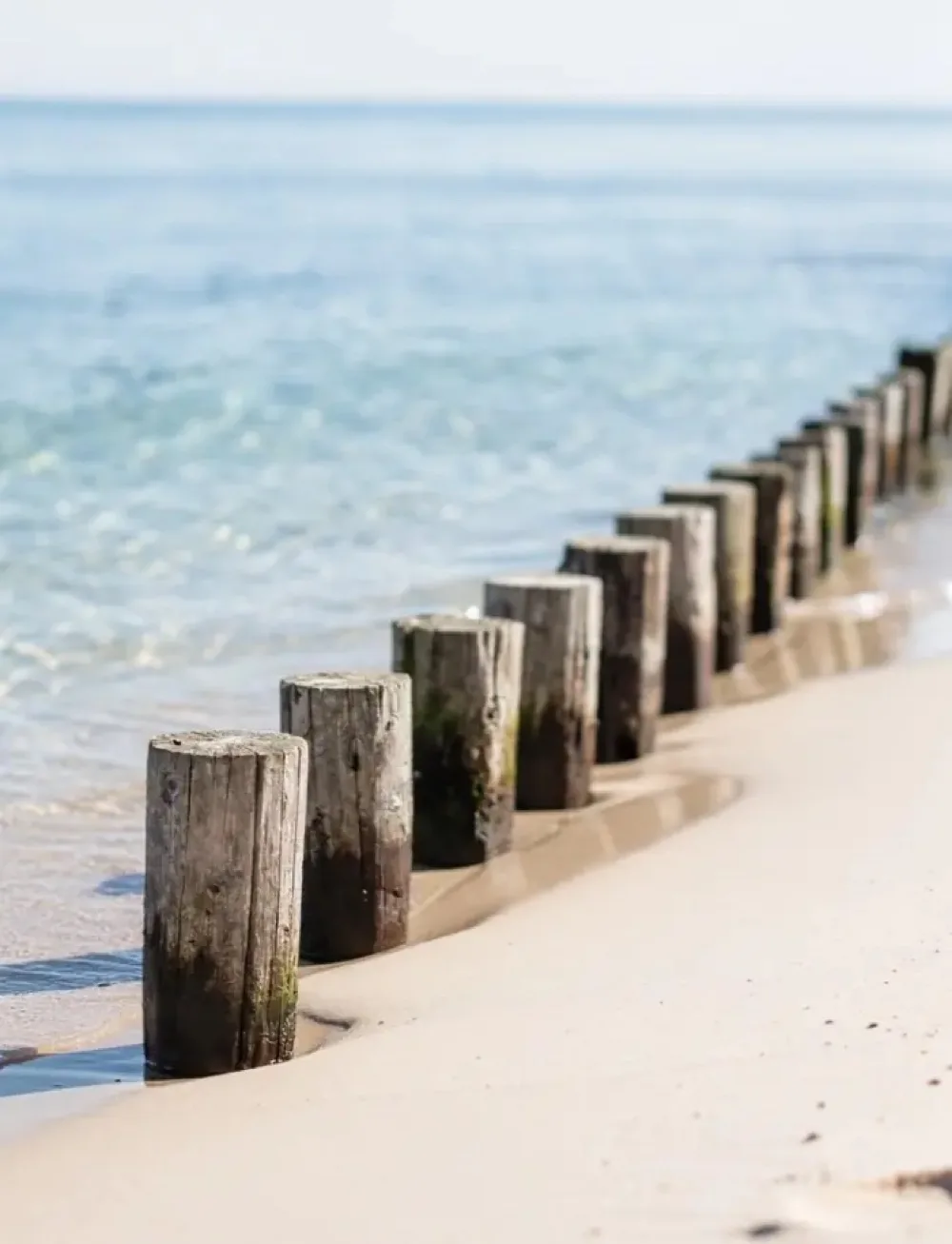 Buhnen-Reihe an der Ostsee bei Rerik – kraniosakrale Osteopathie in Ostseebad Rerik